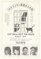 5�₯���g�^�������̏�̔L�i�p���R�j�`���V�摜