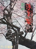 6���n�̍��p���t�摜